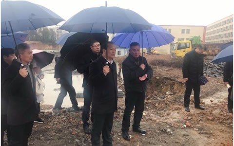 浦江县委书记程天云调研ROYAL皇家88建设项目